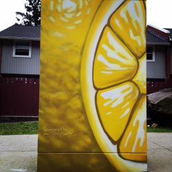 City Utility Box / Roxbury MA