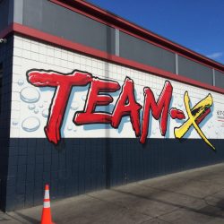 TEAM-X CarDetail / Mattapan MA